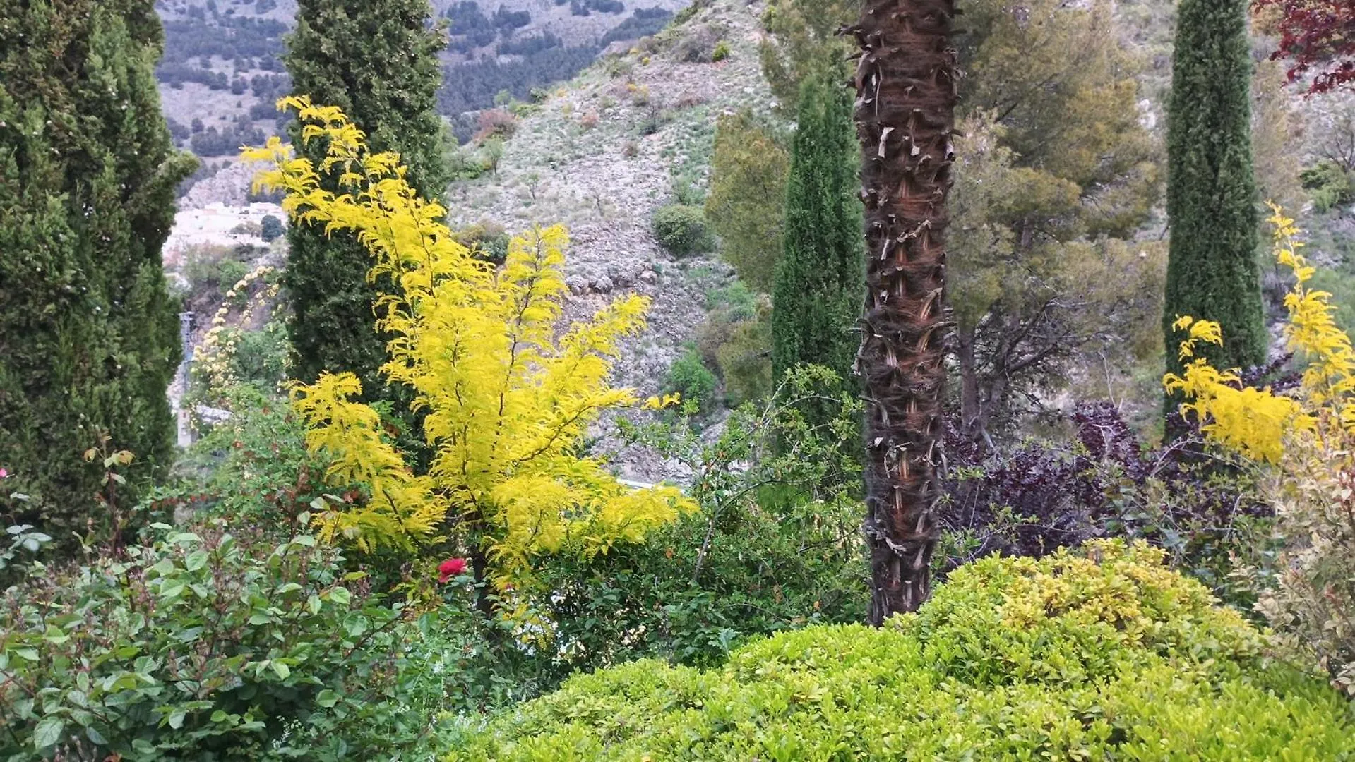 Holiday home La Casita Con Piscina Privada De Tres Dormitorios Torres  Spain