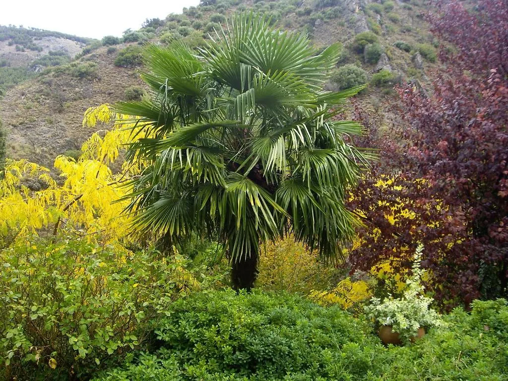 Torres  La Casitaヴィラ 0*, Torres (Jaen)