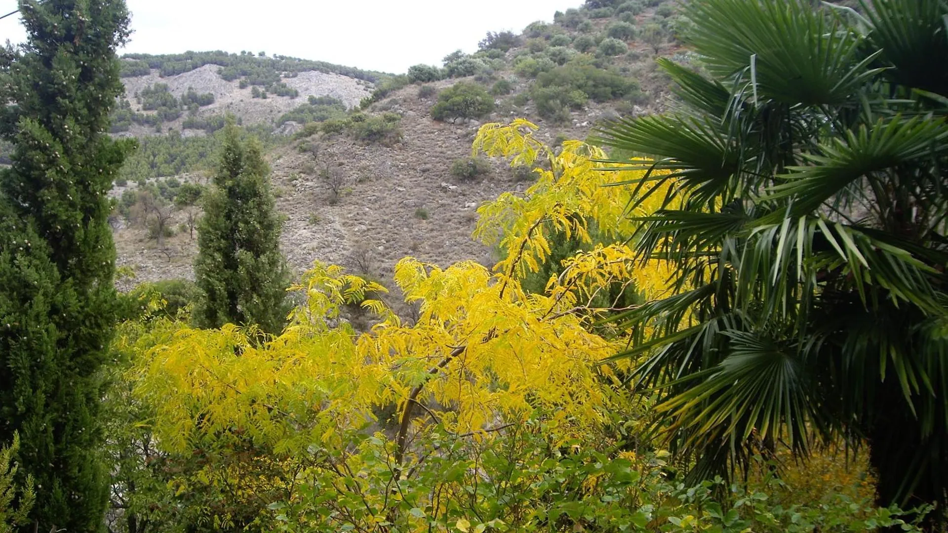 Torres  La Casitaヴィラ 0*, Torres (Jaen) スペイン